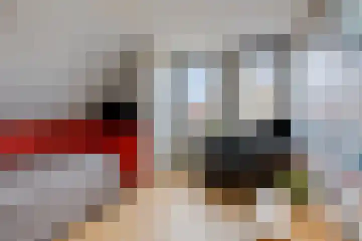 Amethyst 2 Hoorn thumbnail 24