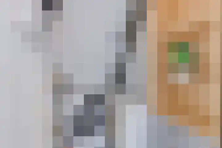 Amethyst 2 Hoorn thumbnail 26