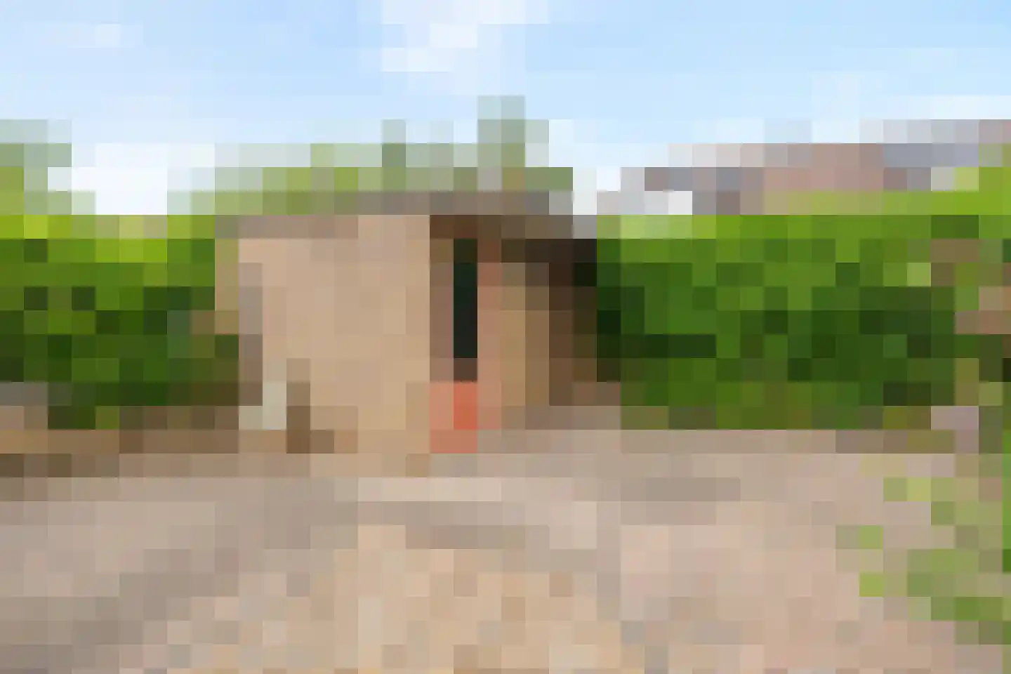 Amethysthof 15 Rhoon thumbnail 12