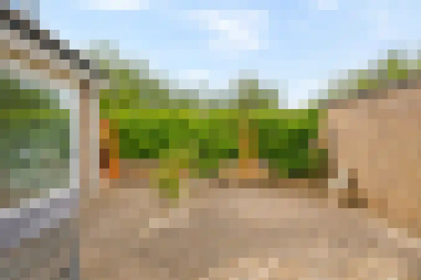 Amethysthof 15 Rhoon thumbnail 13