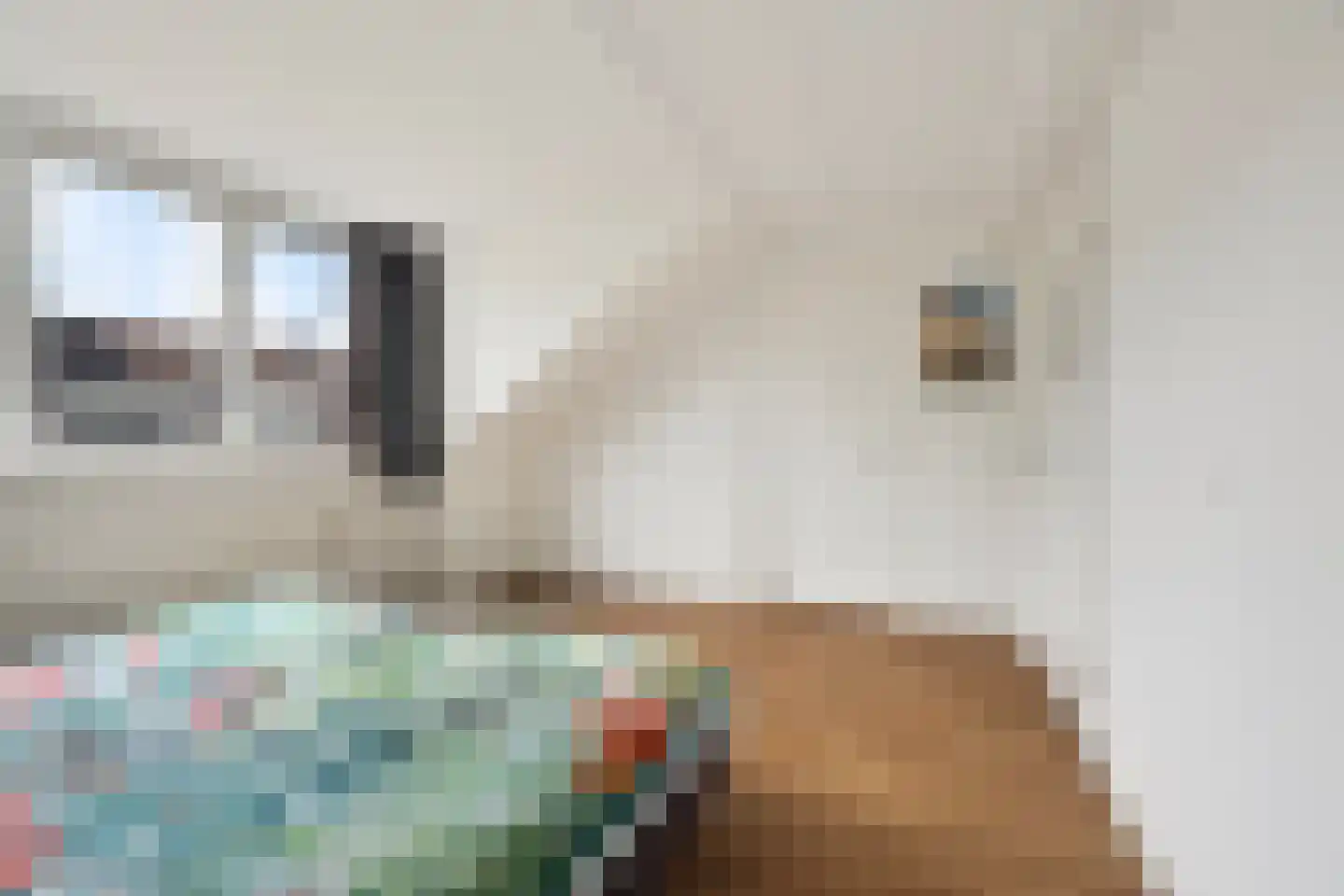 Amethysthof 15 Rhoon thumbnail 28