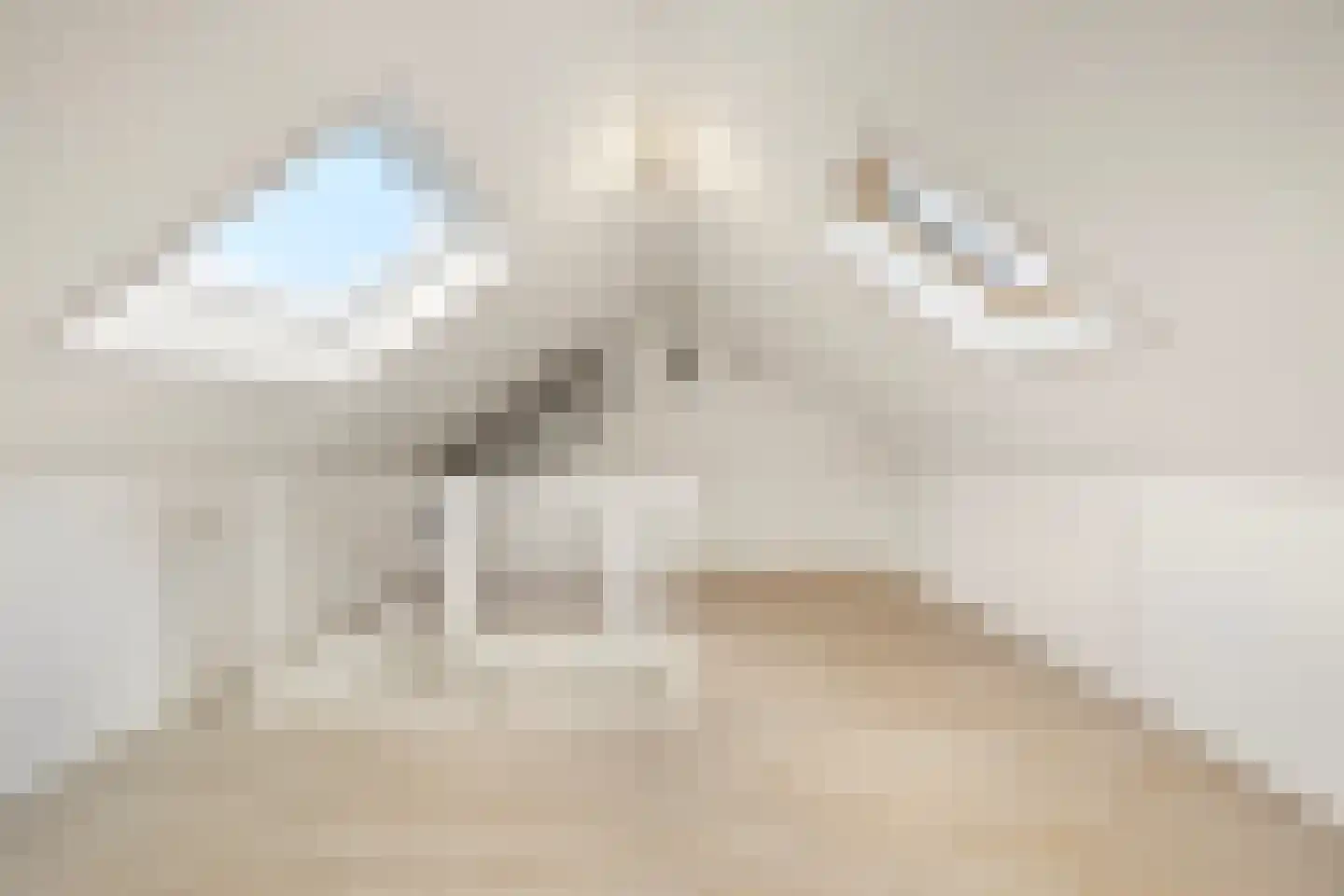 Amethysthof 15 Rhoon thumbnail 37