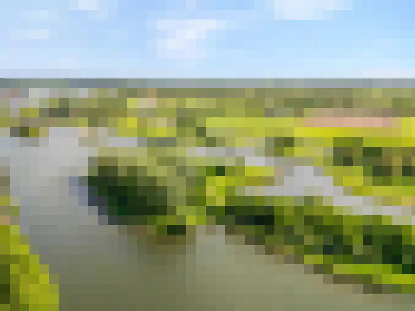 Amethysthof 15 Rhoon thumbnail 45