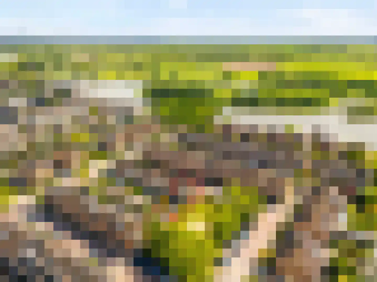 Amethysthof 15 Rhoon thumbnail 5