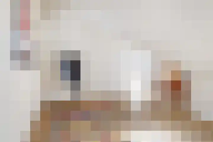 Amethysthof 48 Rhoon thumbnail 40