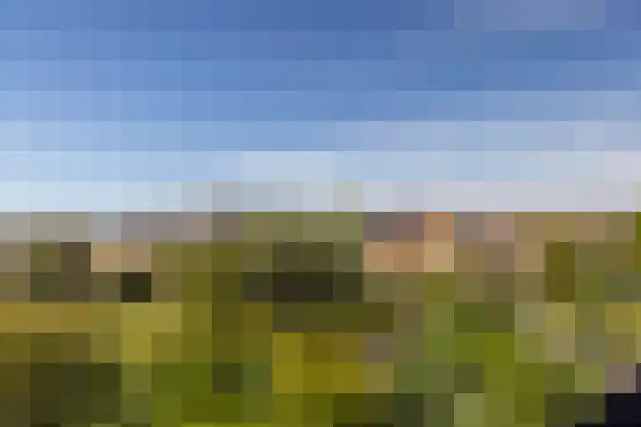 Amethysthof 48 Rhoon thumbnail 48