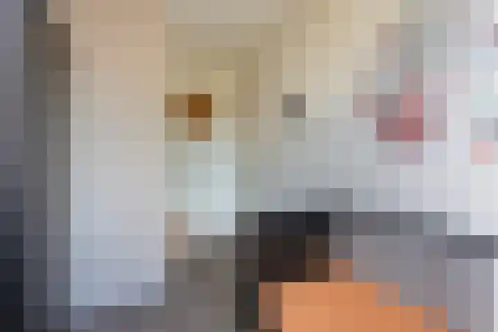 Amethysthof 48 Rhoon thumbnail 53