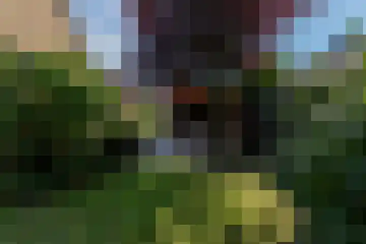Amethysthof 48 Rhoon thumbnail 54