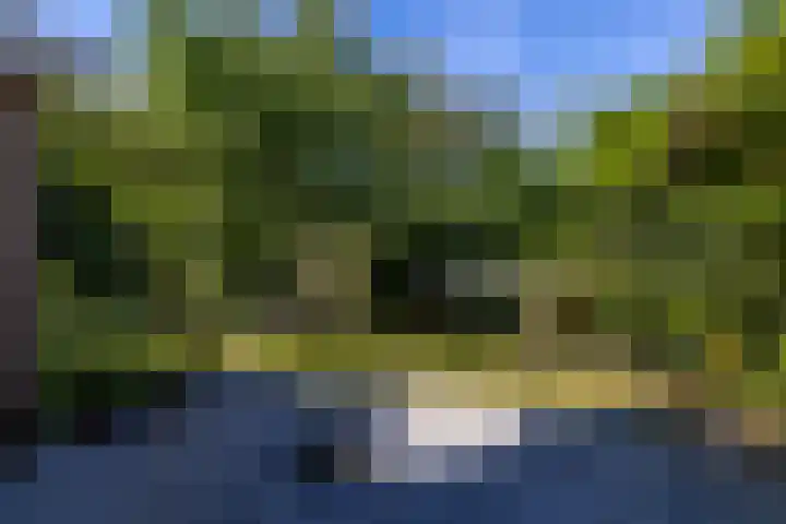 Amethysthof 48 Rhoon thumbnail 57