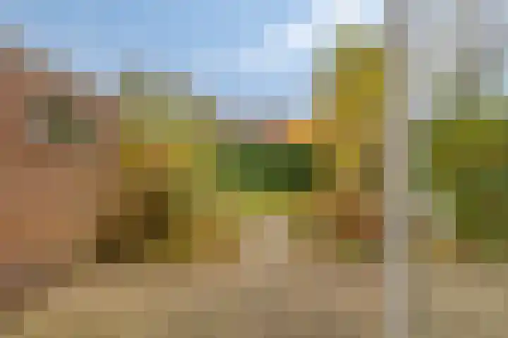 Amethysthof 48 Rhoon thumbnail 58