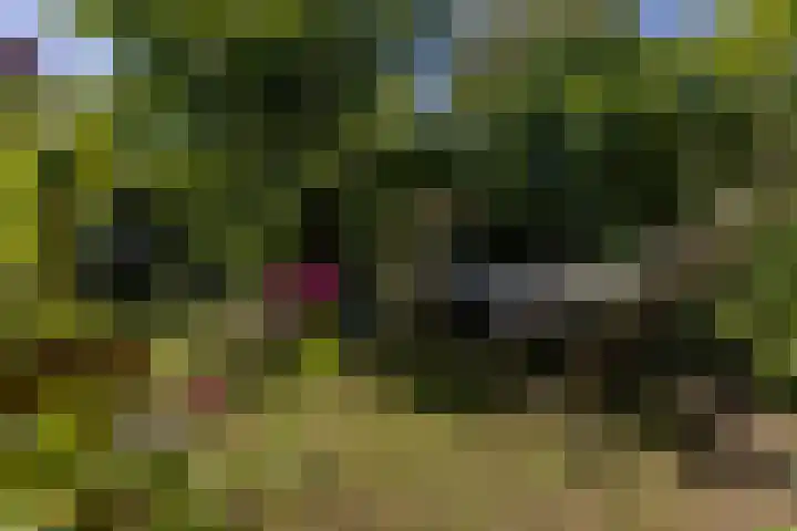 Amethysthof 48 Rhoon thumbnail 58
