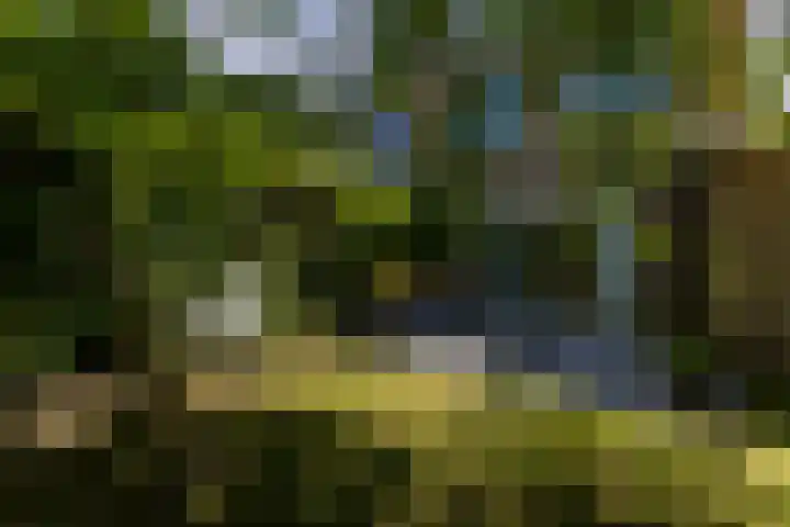 Amethysthof 48 Rhoon thumbnail 59