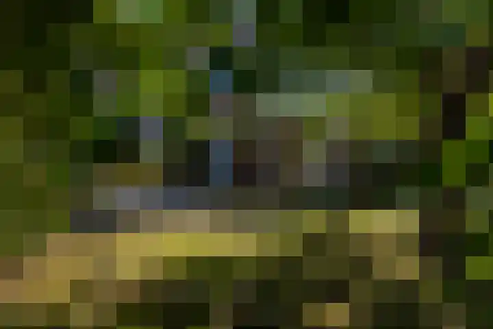 Amethysthof 48 Rhoon thumbnail 60