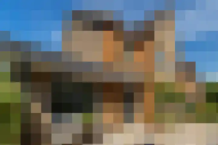 Amethysthof 48 Rhoon thumbnail 8