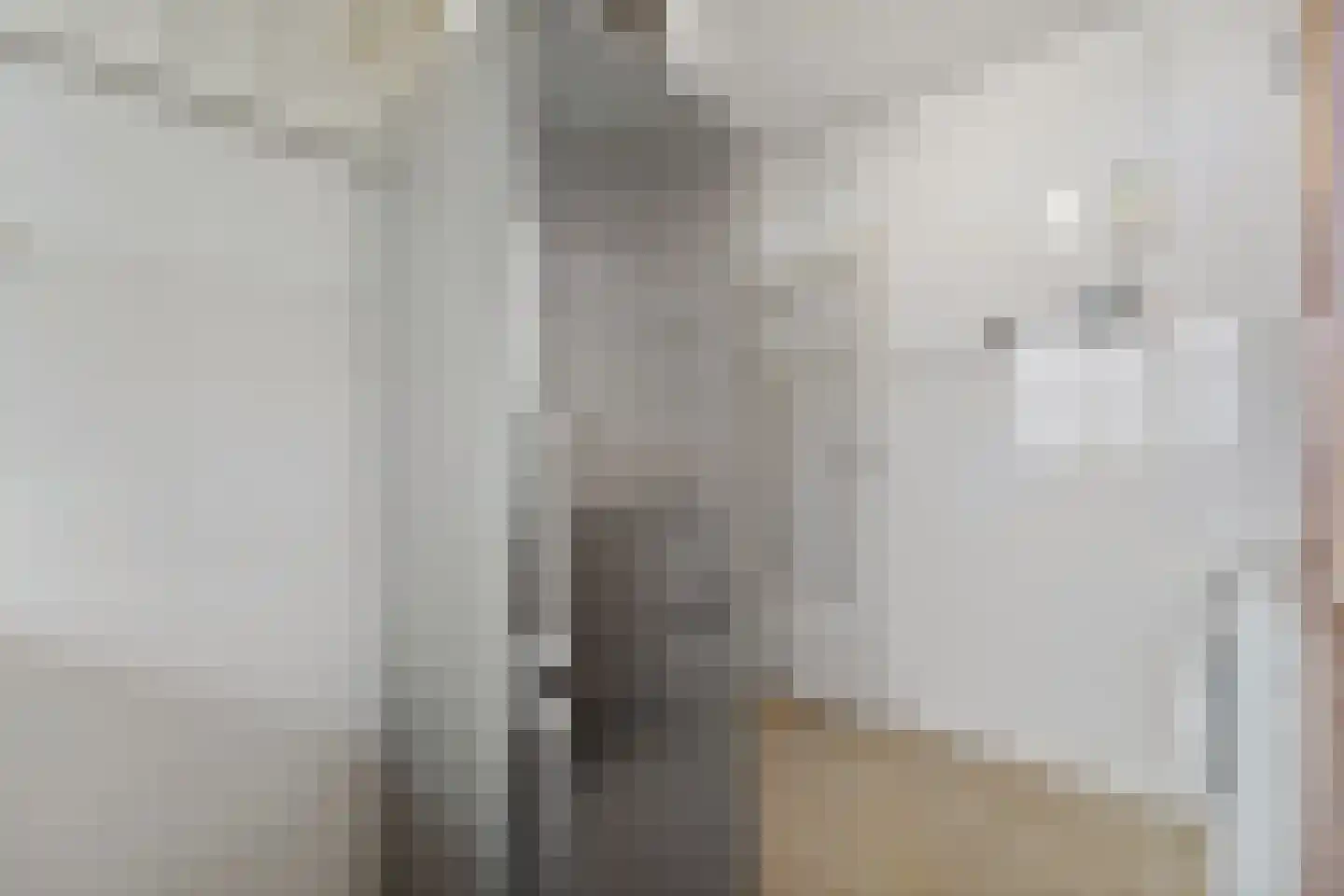 Ametisthorst 213 Den Haag thumbnail 14