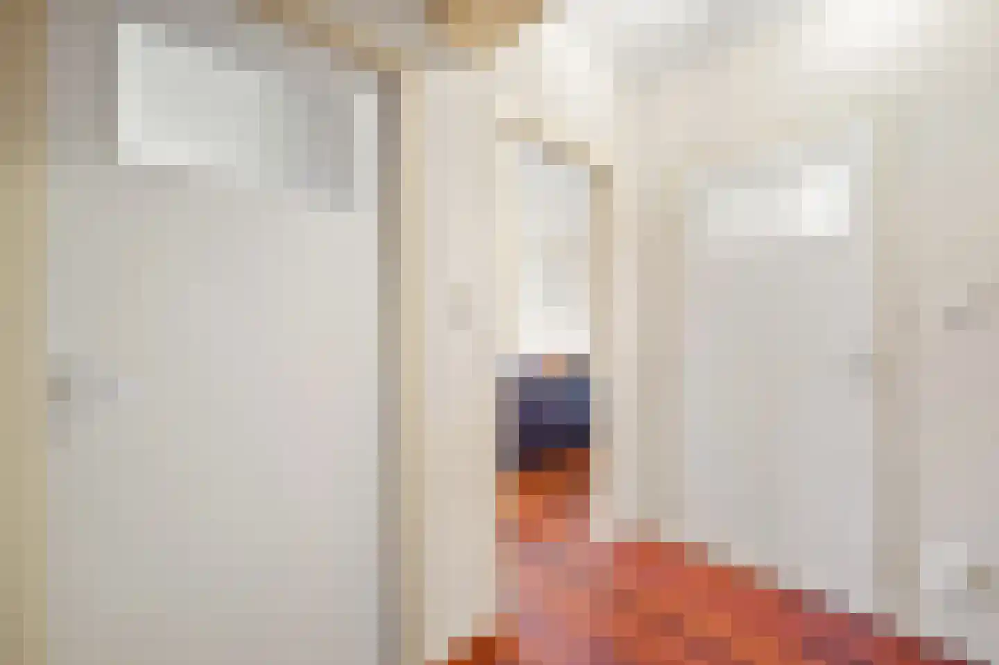 Ametisthorst 213 Den Haag thumbnail 15