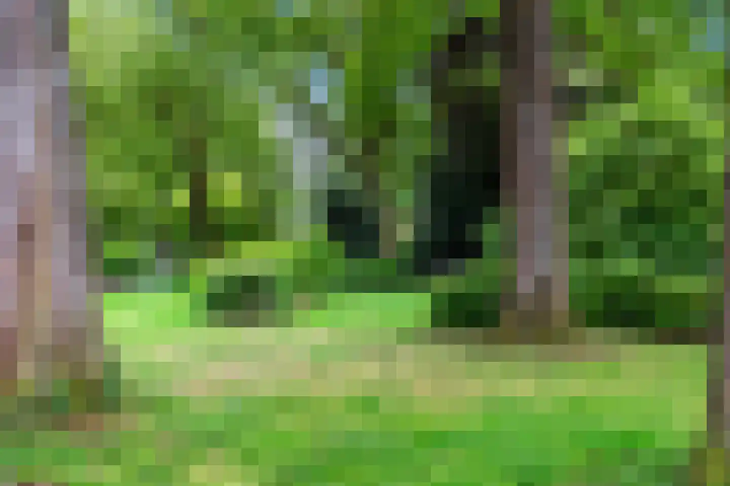 Ametisthorst 213 Den Haag thumbnail 34