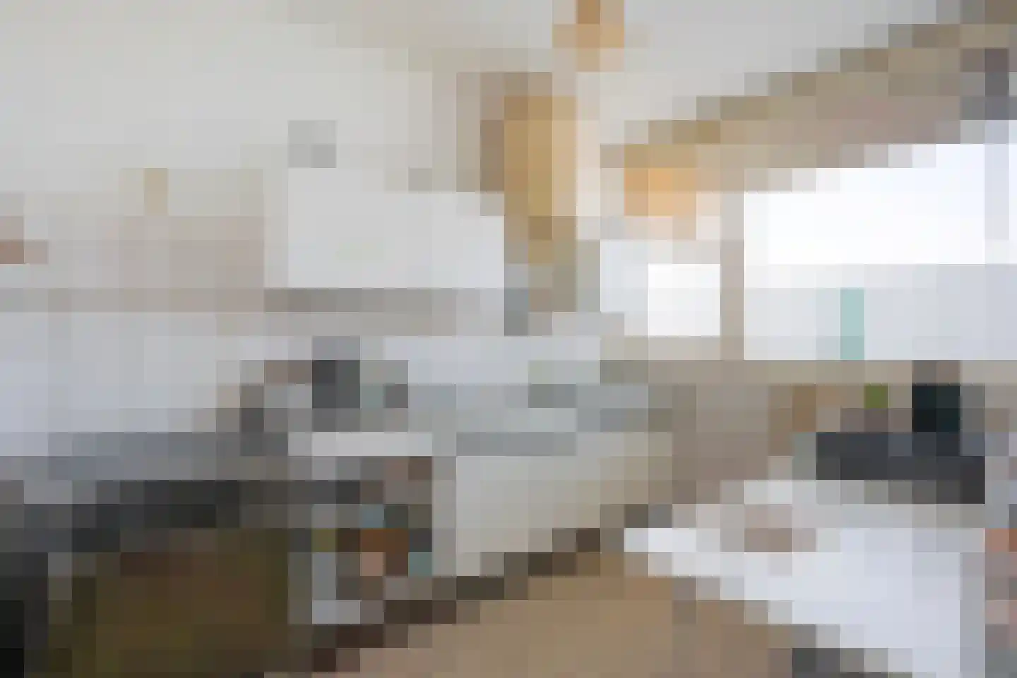 Ametisthorst 255 Den Haag thumbnail 20