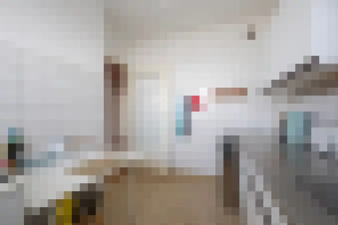 Ametisthorst 255 Den Haag thumbnail 22