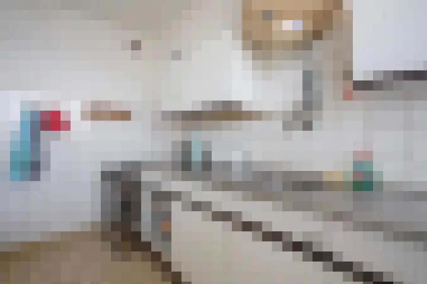 Ametisthorst 255 Den Haag thumbnail 23
