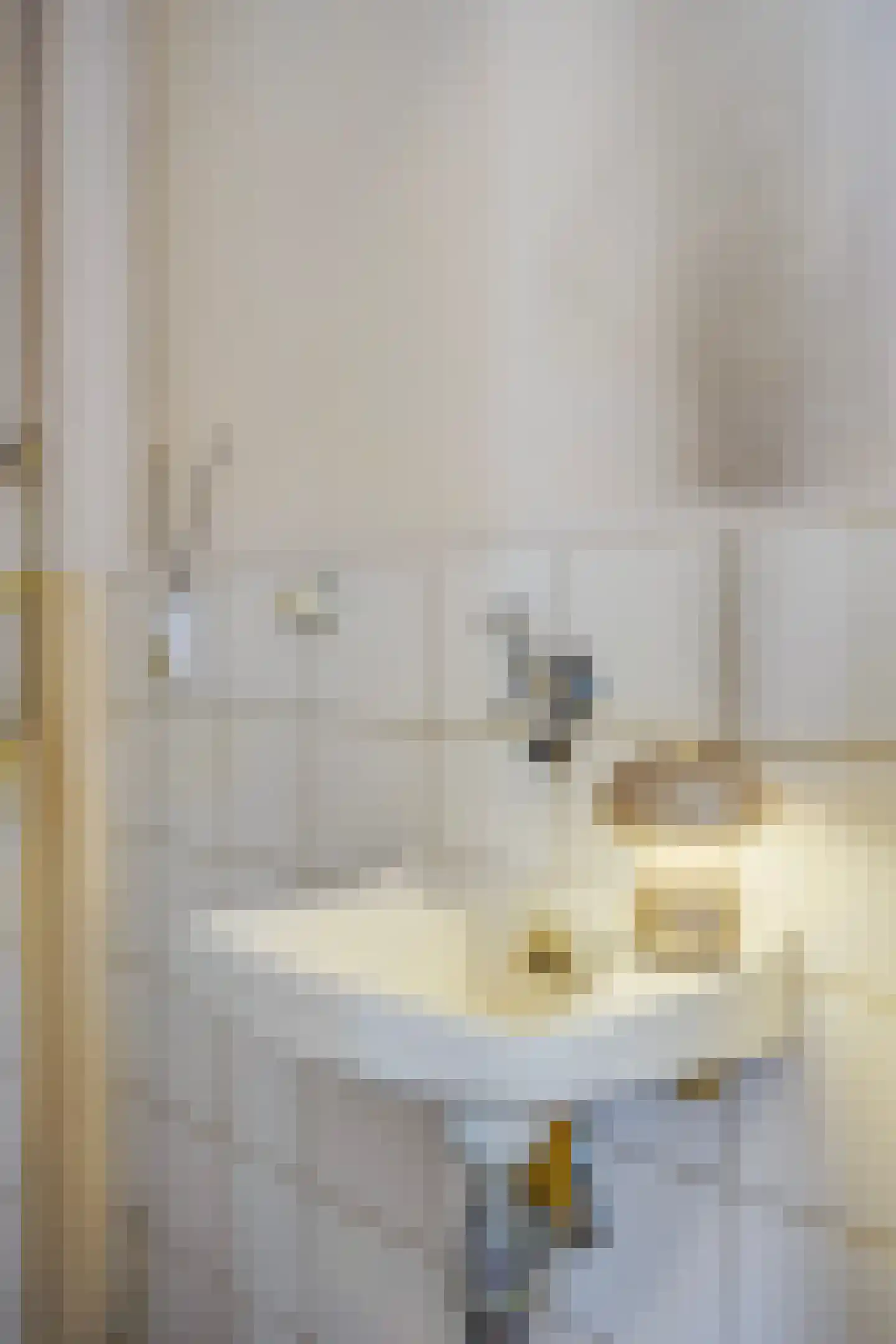 Ametisthorst 255 Den Haag thumbnail 8