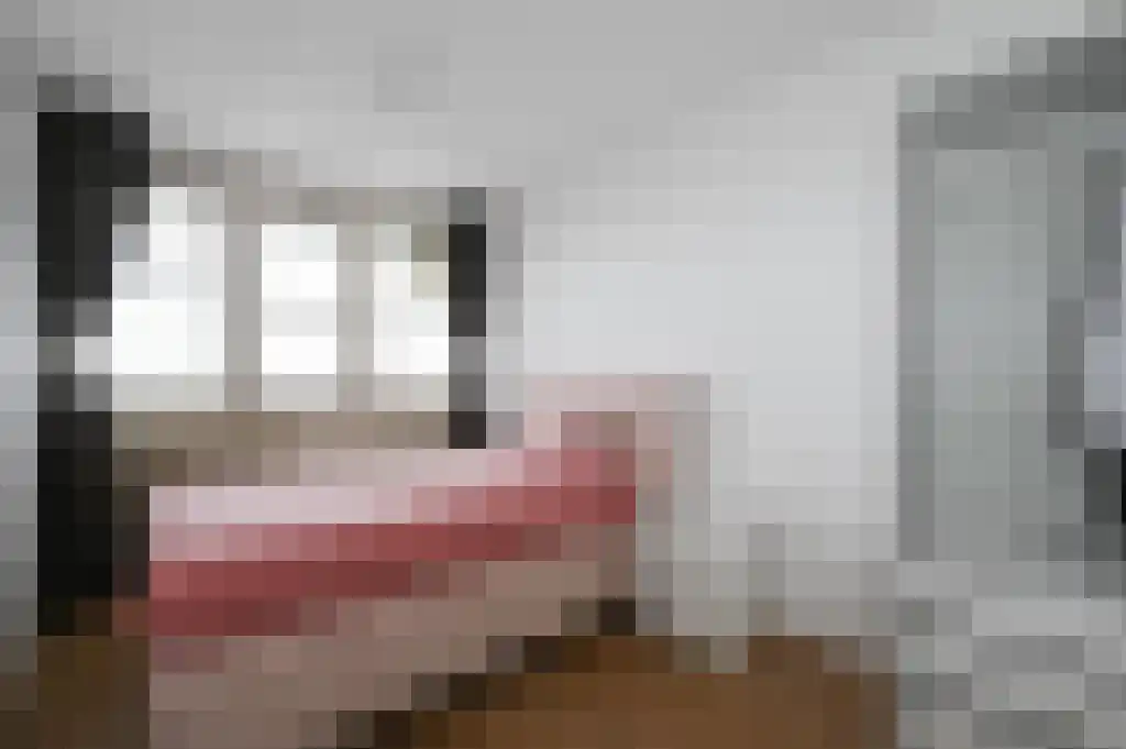 Ametisthorst 379 Den Haag thumbnail 19