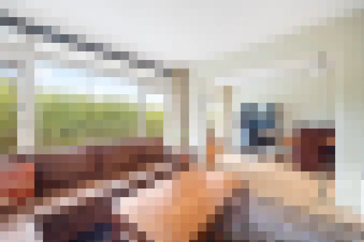 Ametisthorst 71 Den Haag thumbnail 19