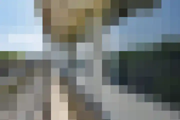 Ametisthorst 85 Den Haag thumbnail 8