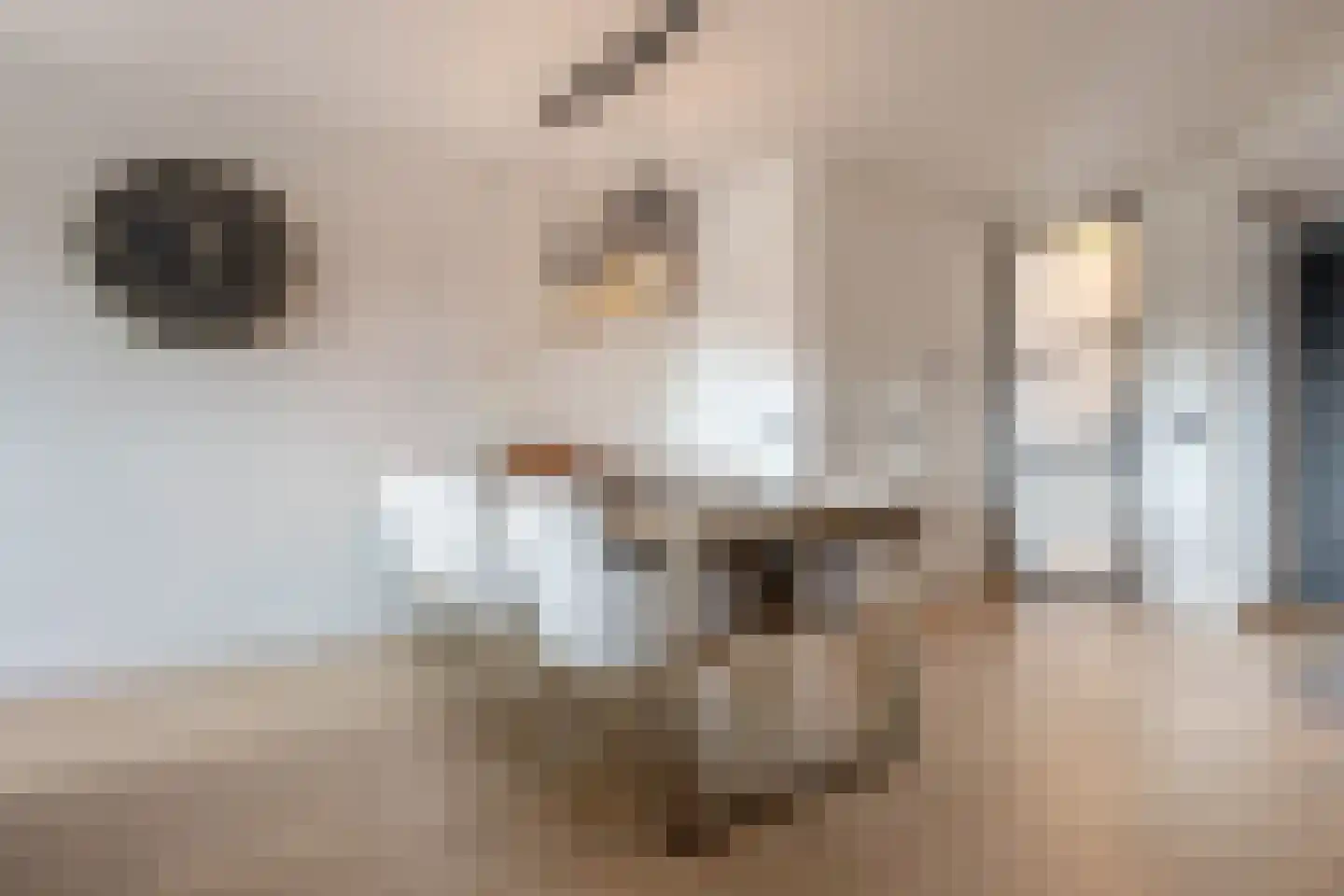 Amfibieplein 7 Westknollendam thumbnail 11
