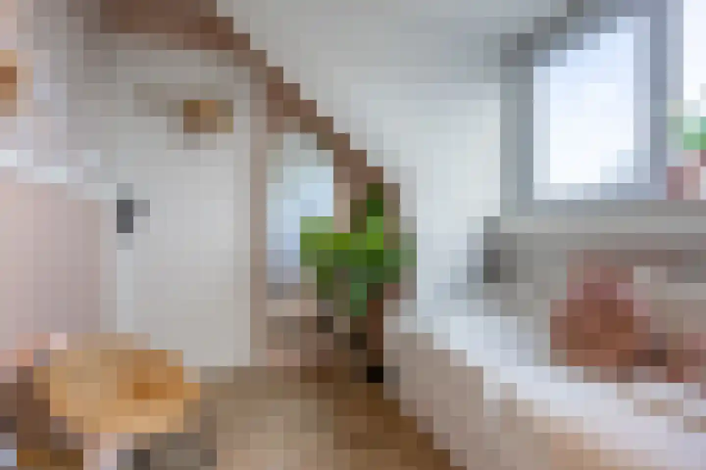 Amfibieplein 7 Westknollendam thumbnail 40