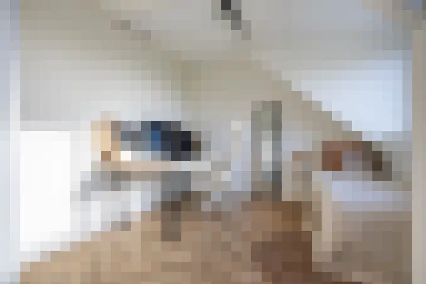 Amfibieplein 7 Westknollendam thumbnail 42