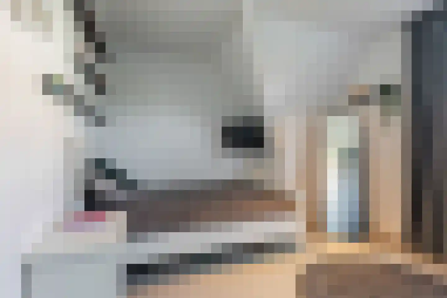 Amfora 2 Veldhoven thumbnail 47