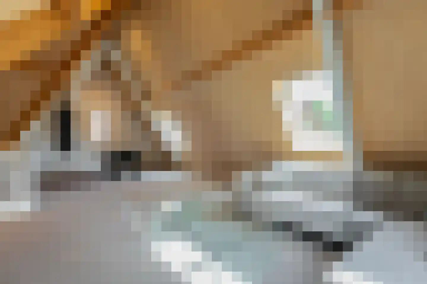Amfora 2 Veldhoven thumbnail 59