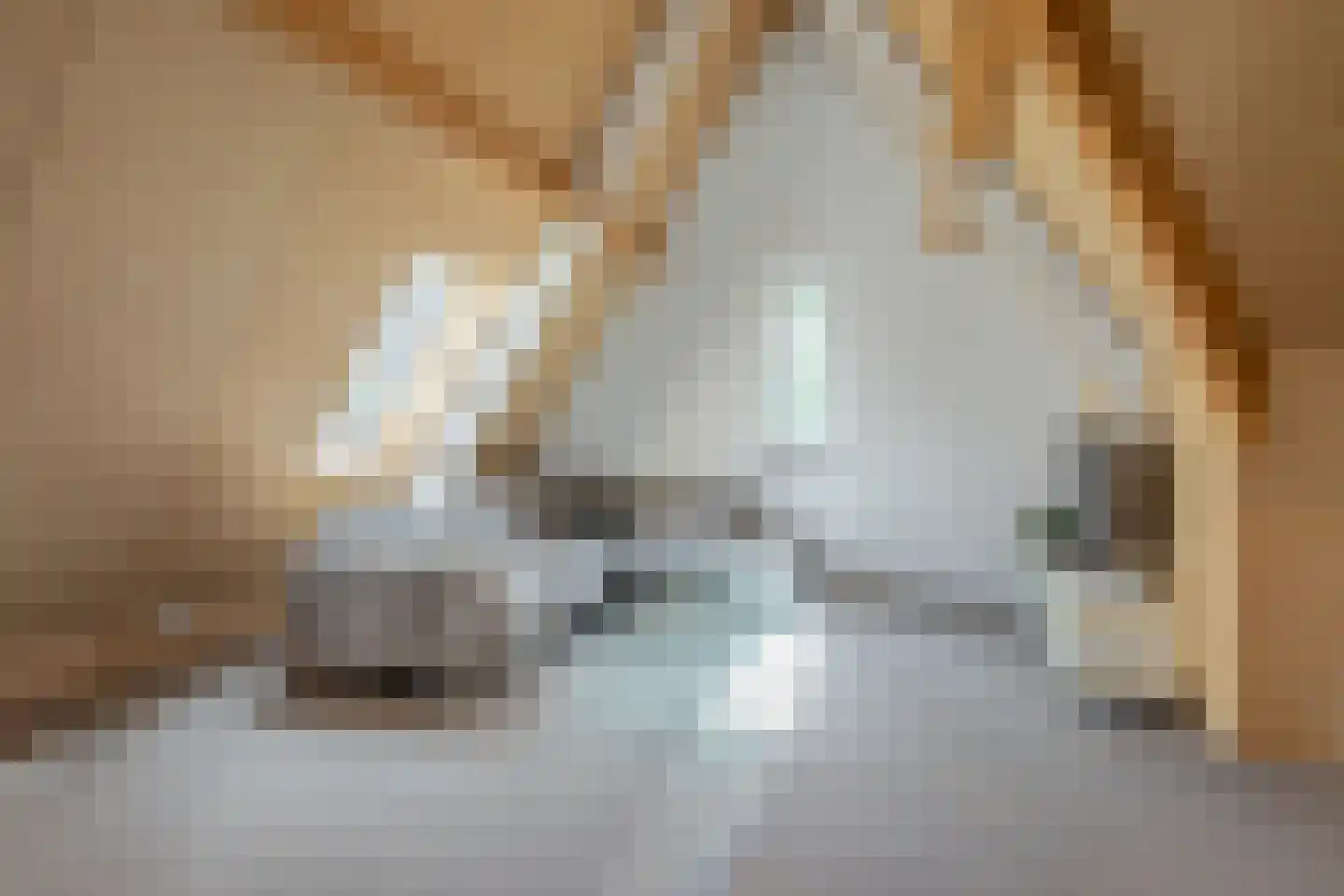 Amfora 2 Veldhoven thumbnail 61