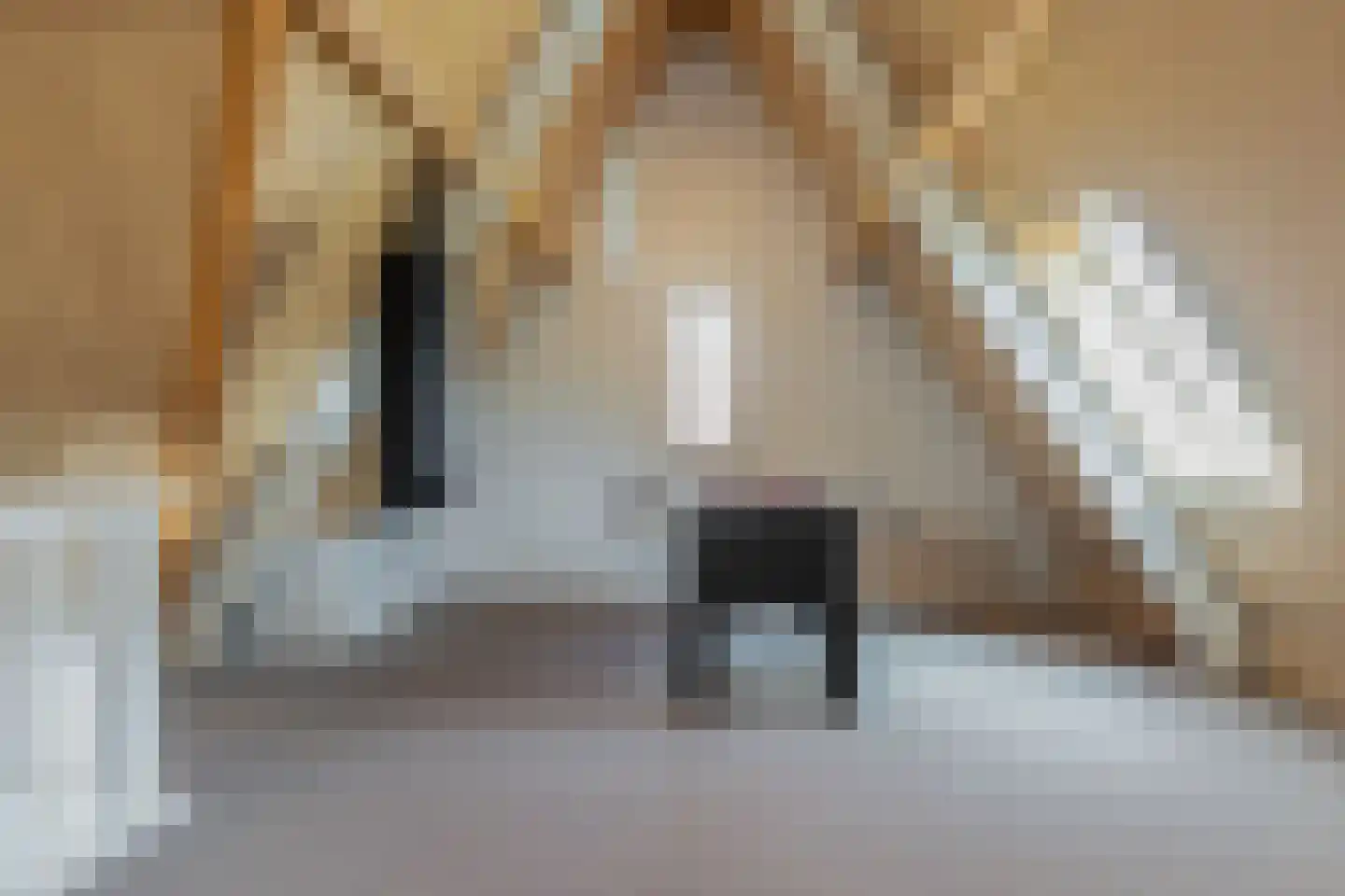 Amfora 2 Veldhoven thumbnail 62