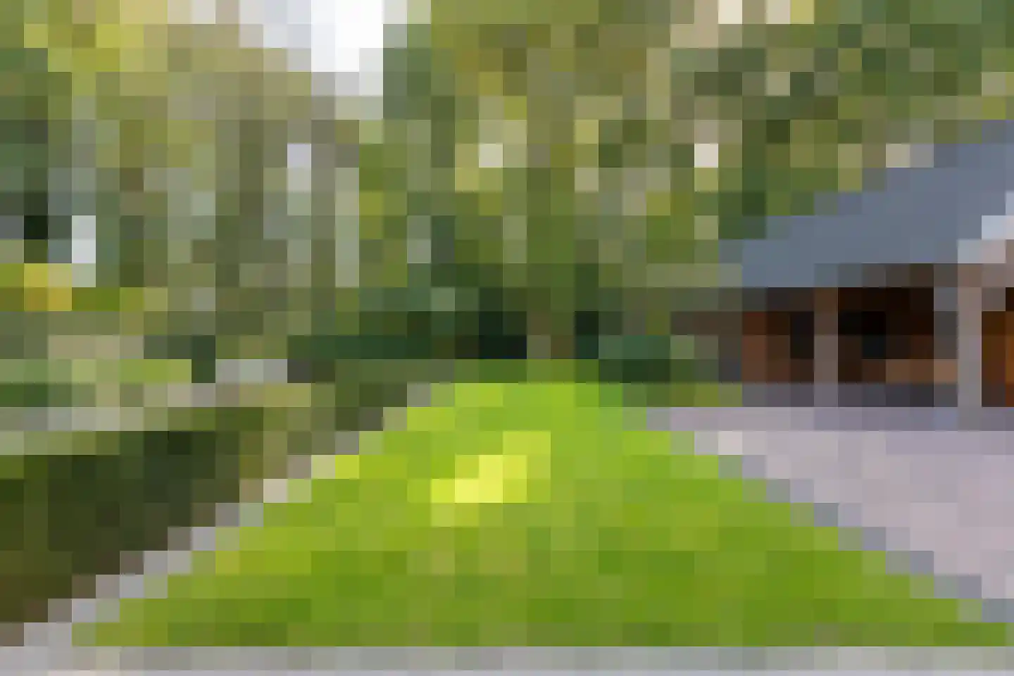 Amfora 2 Veldhoven thumbnail 77