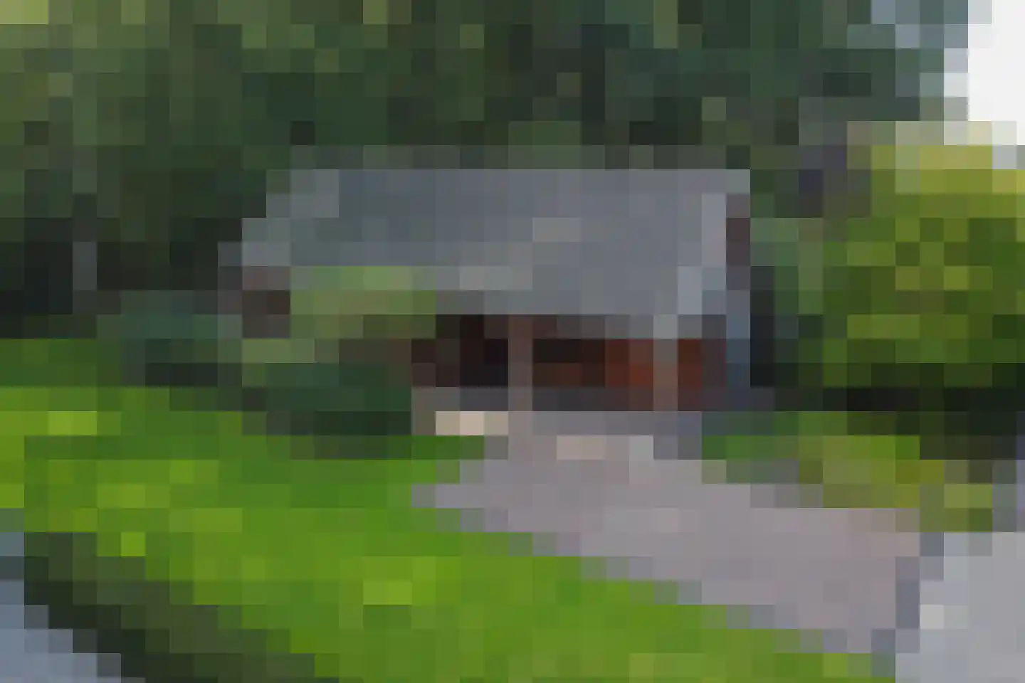 Amfora 2 Veldhoven thumbnail 78