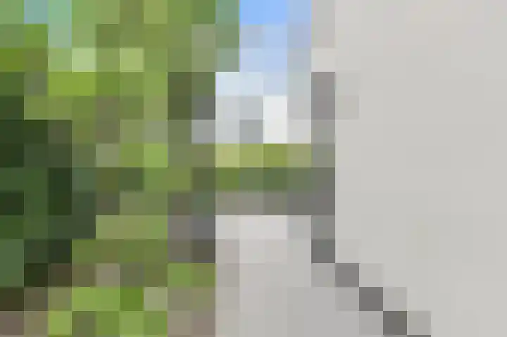 Amfora 8 Oosterhout thumbnail 46