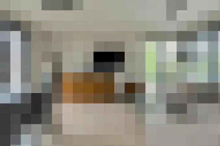 Amfora 8 Oosterhout thumbnail 9