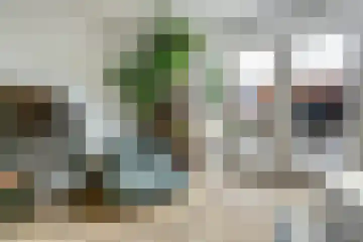 Amforastraat 16 Gendt thumbnail 10