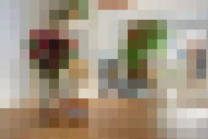 Amforastraat 16 Gendt thumbnail 12