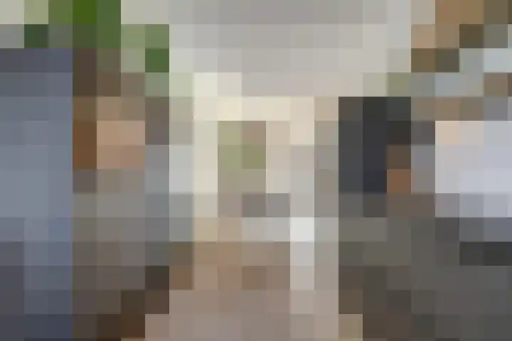 Amforastraat 16 Gendt thumbnail 18