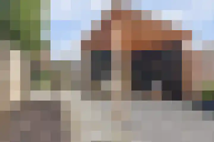 Amforastraat 16 Gendt thumbnail 22