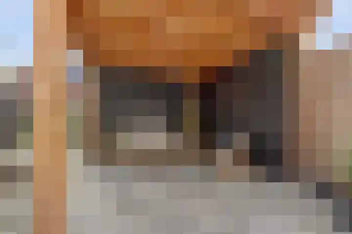 Amforastraat 16 Gendt thumbnail 23