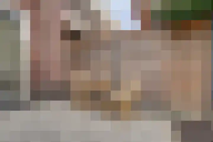 Amforastraat 16 Gendt thumbnail 24