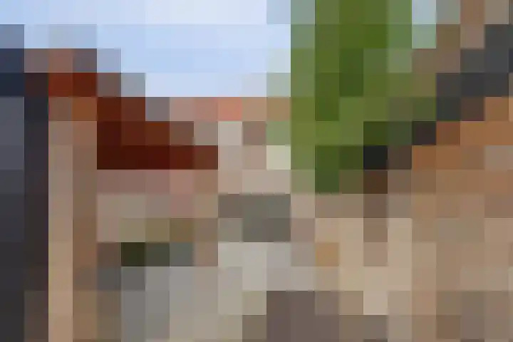Amforastraat 16 Gendt thumbnail 26