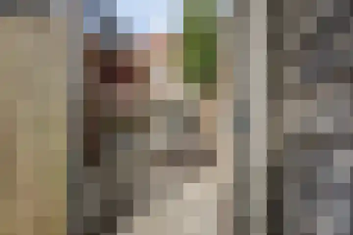 Amforastraat 16 Gendt thumbnail 27