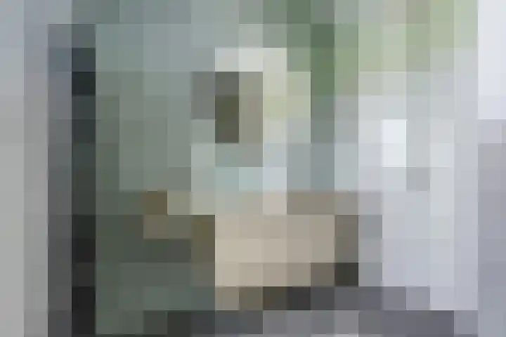 Amforastraat 16 Gendt thumbnail 30