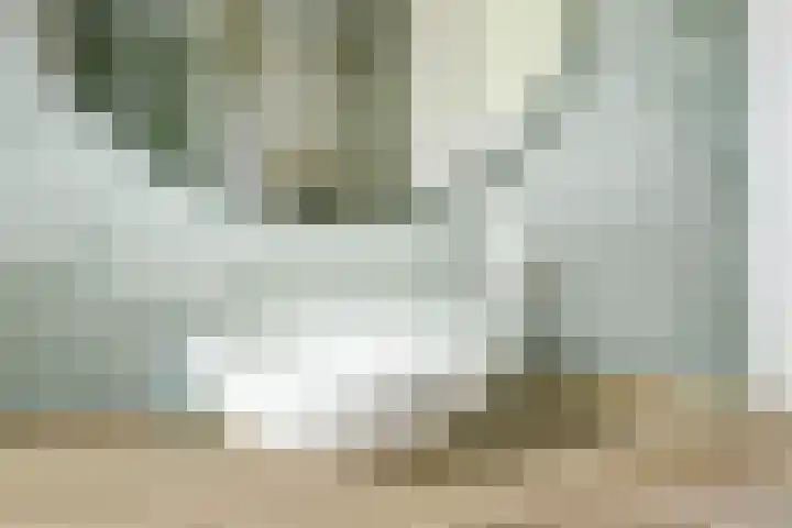 Amforastraat 16 Gendt thumbnail 31