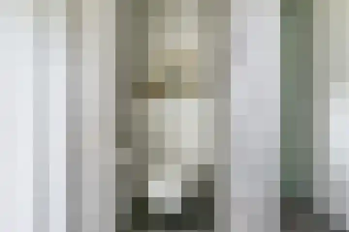 Amforastraat 16 Gendt thumbnail 33